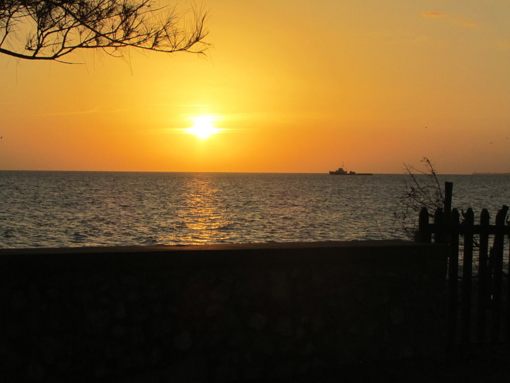 Ocho Rios Villa At Coolshade IV Saint Annʼs Bay 외부 사진