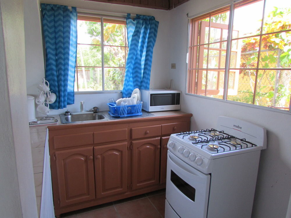 Ocho Rios Villa At Coolshade IV Saint Annʼs Bay 외부 사진